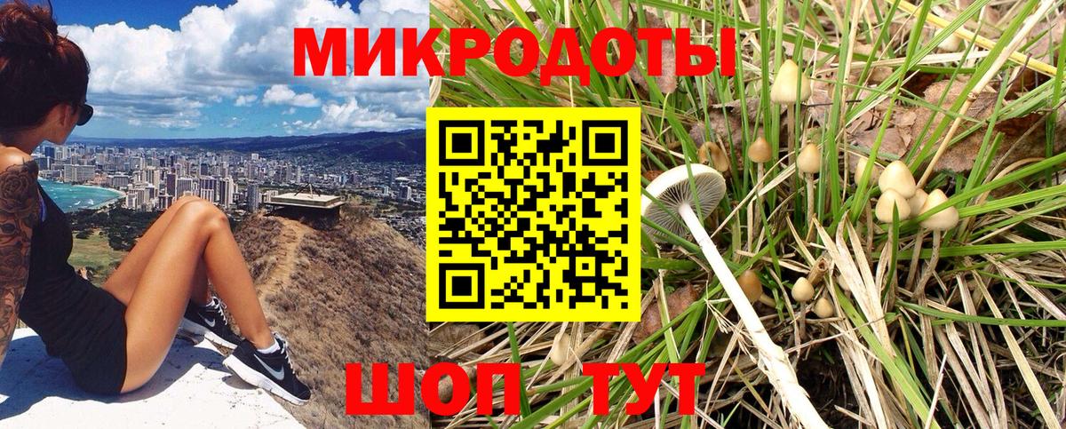 Псилоцибиновые грибы Cubensis  Галлюциногенные грибы GOLDEN TEACHER  Вход с VPN  Ногинск 