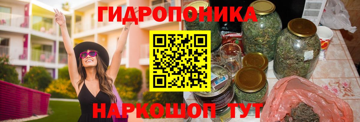 МАРИХУАНА ГИДРОПОН Ногинск